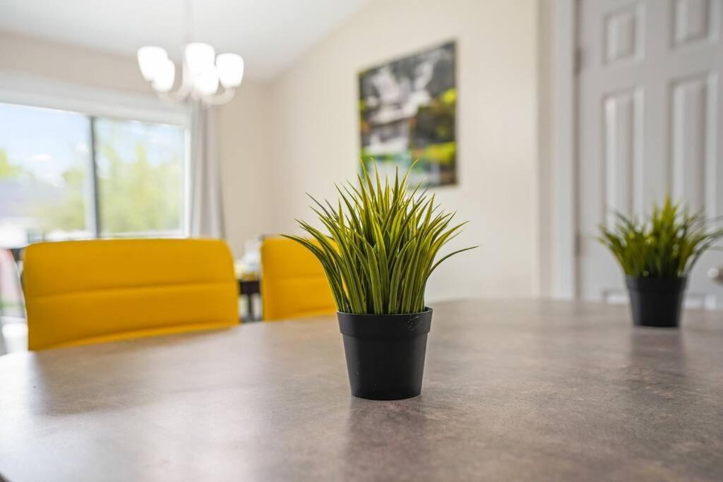 Remodeled, Charming Retreat On The City's Doorstep
